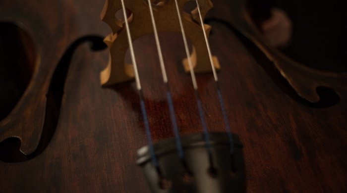 5 Best Violin Strings